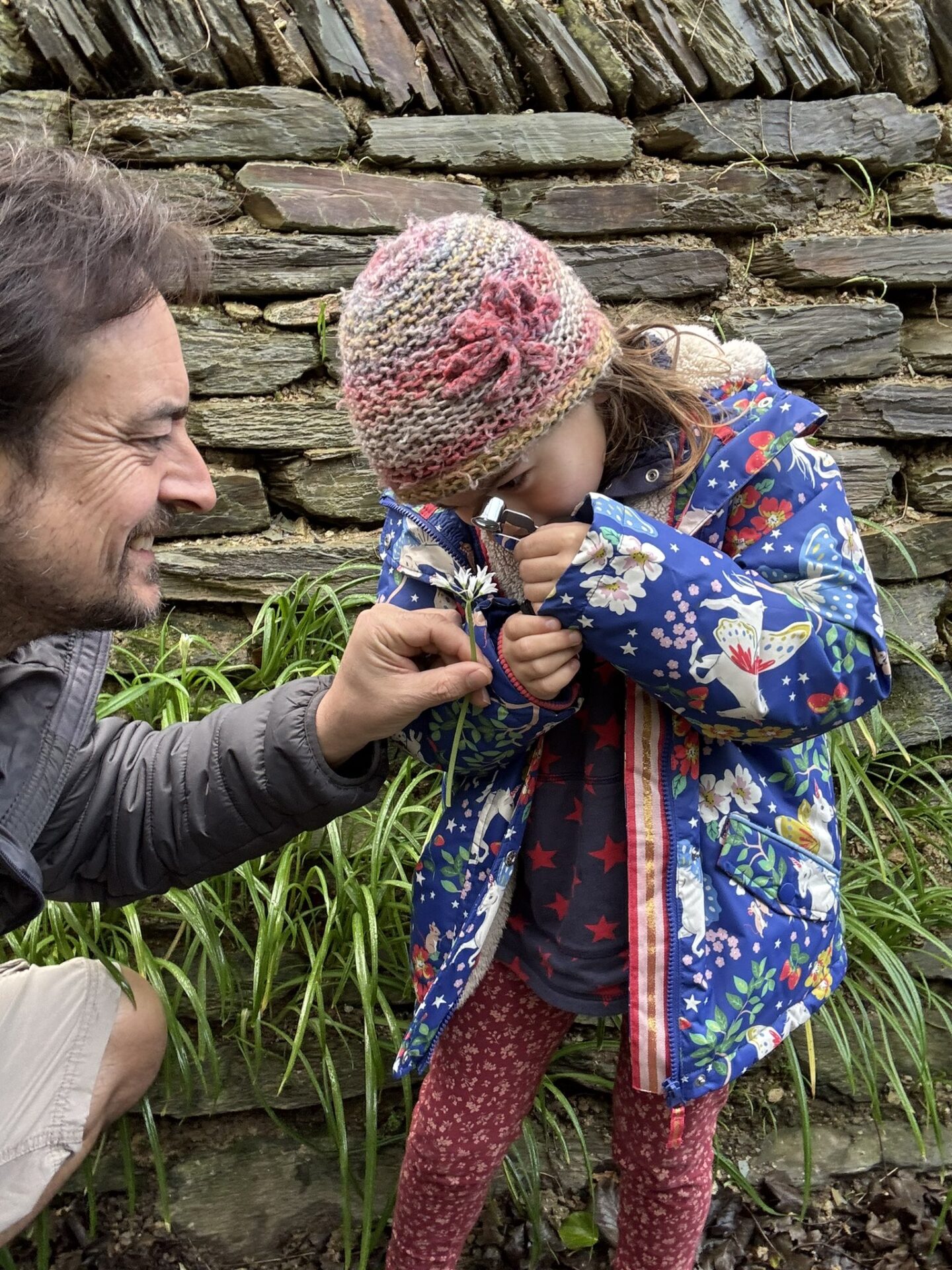 6-year old botanist Ada examines Three-Cornered Leek during NYPH 2025. Image: Dan Ryan